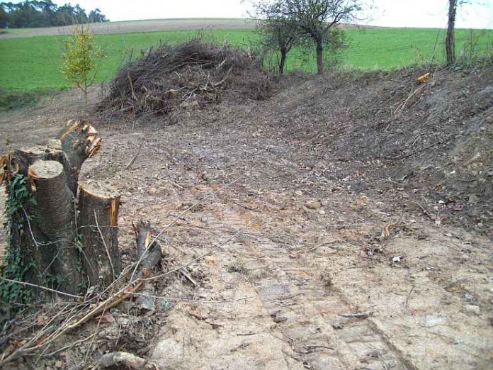 Abgesägte Bäume und herausgerissene Sträucher entlang der Mumbacher Straße bieten als zerstückelte Pflanzenleichen einen trostlosen Anblick in der Landschaft